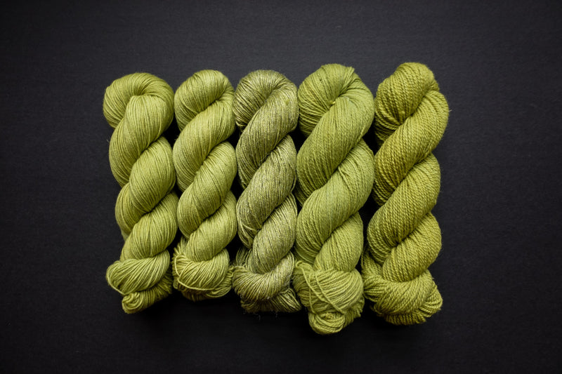 Five skeins of yarn, all different bases, are naturally dyed a light green. They are lined up in a row on a black surface.