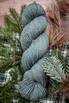 A natural fiber skein of fingering weight yarn has been hand dyed a blue green. It sits on a tabletop next to spruce branches.