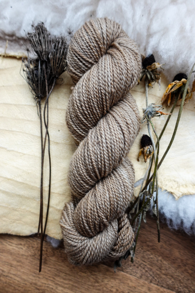 A skein of DK weight yarn has been dyed a light beige. It lays on a tabletop next to dried flowers and bark.