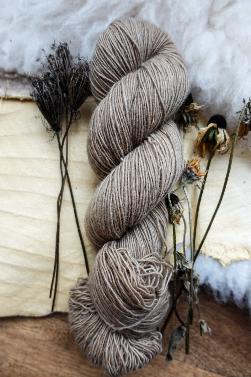 A skein of fingering weight yarn has been dyed a light beige. It lays on a tabletop next to dried flowers and bark.