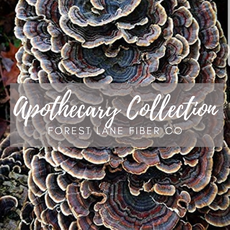 Turkeytail - BFL DK - Apothecary Collection Spring 2021 - Yarn Only
