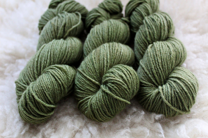Moss - BFL DK - Bluefaced Leicester - DK Weight - Non Superwash
