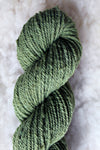 Moss - Columbia Worsted - Worsted Weight - Non-Superwash