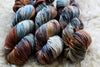 Turkeytail - BFL DK - Apothecary Collection Spring 2021 - Yarn Only